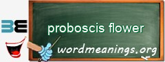 WordMeaning blackboard for proboscis flower
